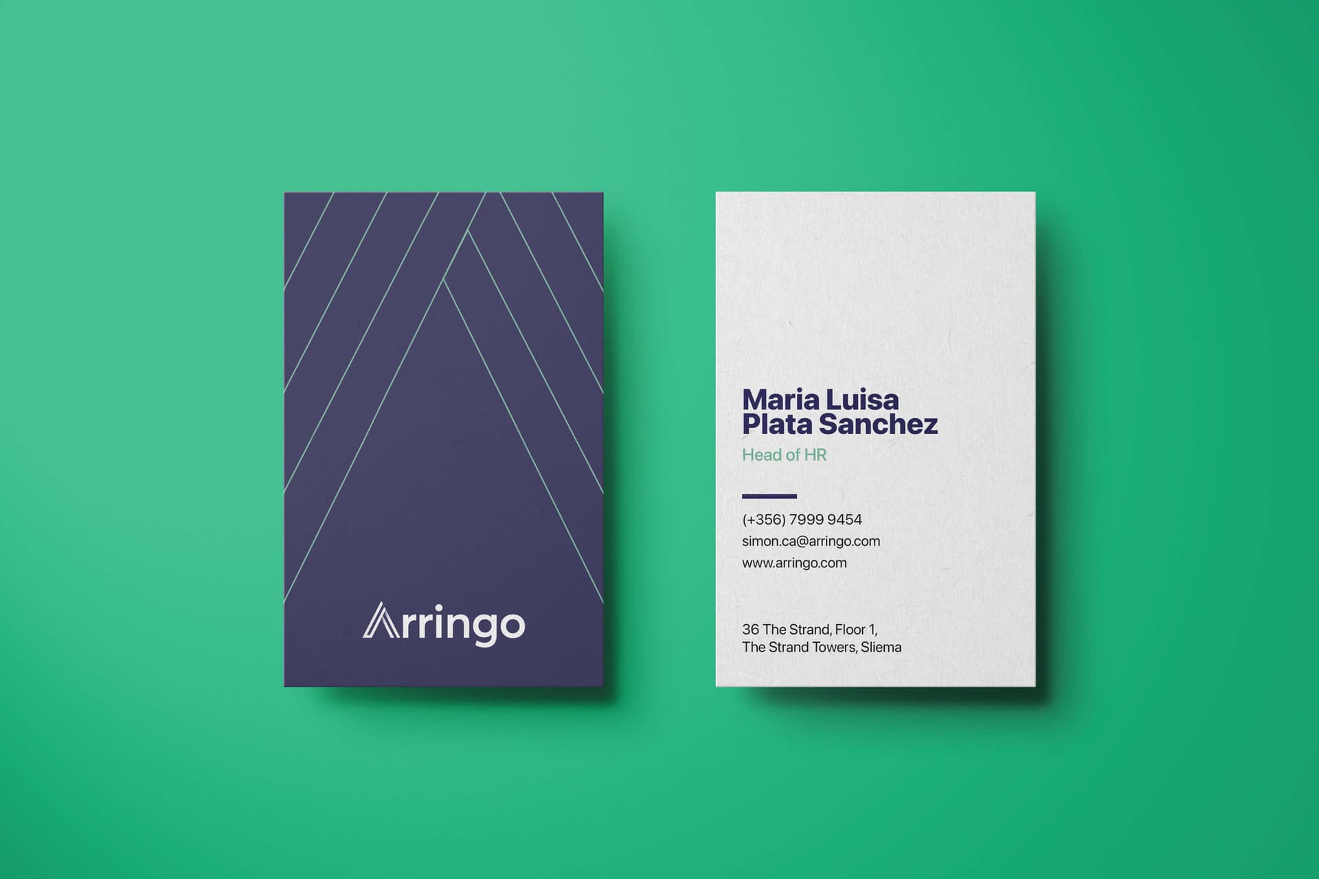 Arringo Books Cover Illustration